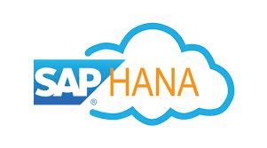 Hot Tub Analytics: Leveraging SAP for Data-Driven Decisions